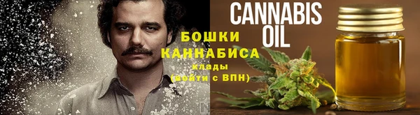 бошки Алексин