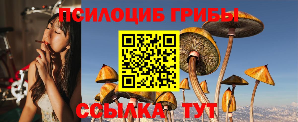 Галлюциногенные грибы Psilocybe  Вход с VPN  Ржев  Псилоцибиновые грибы мицелий 