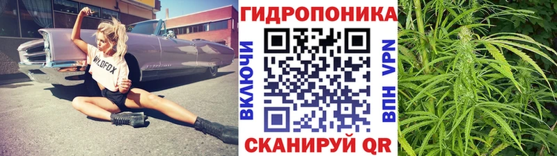Шишки марихуана семена Ржев
